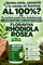 Rhodiola Rosea - Nivela tu Cortisol solo con 1 pastilla diaria