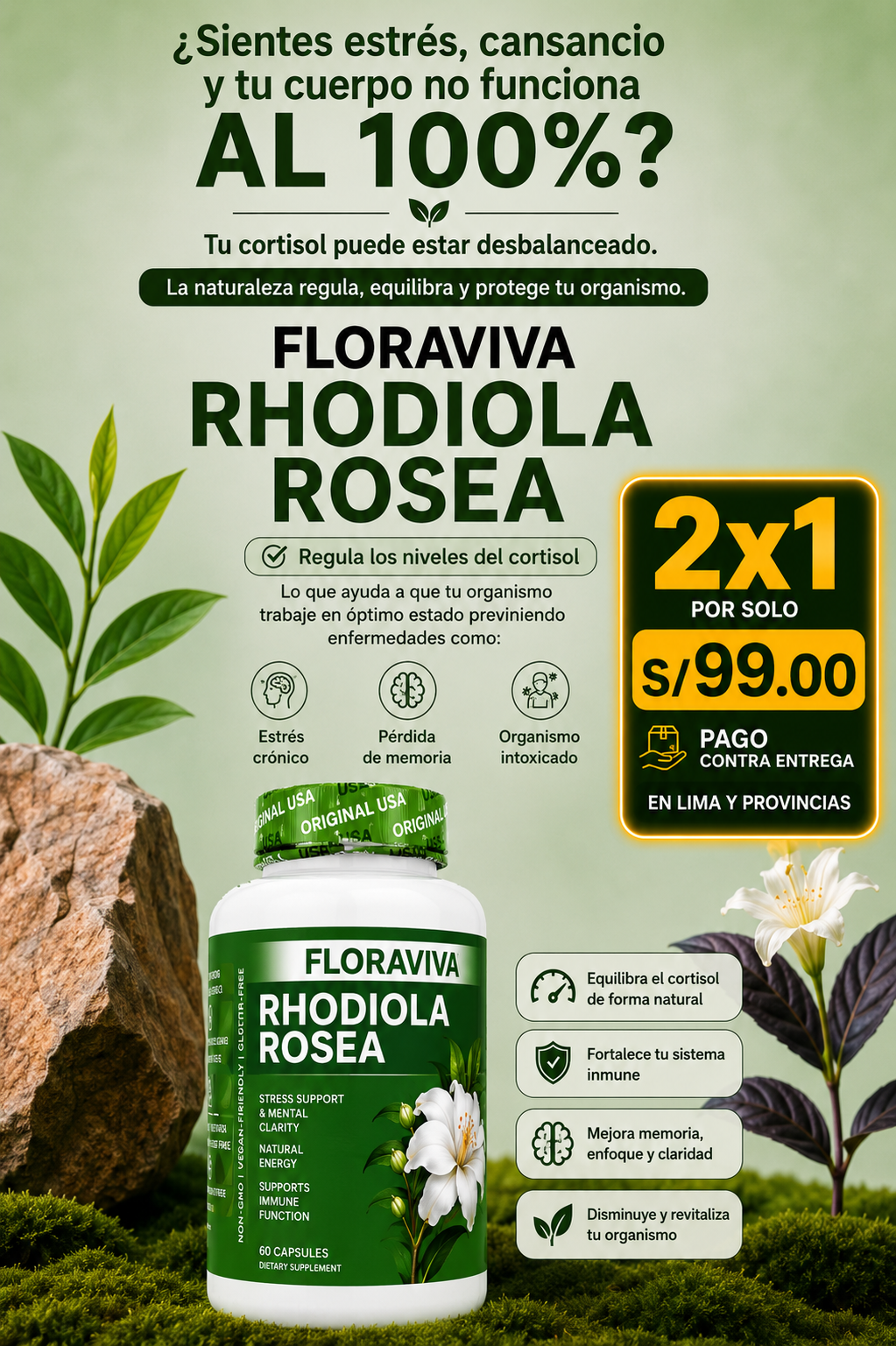 Rhodiola Rosea - Nivela tu Cortisol solo con 1 pastilla diaria